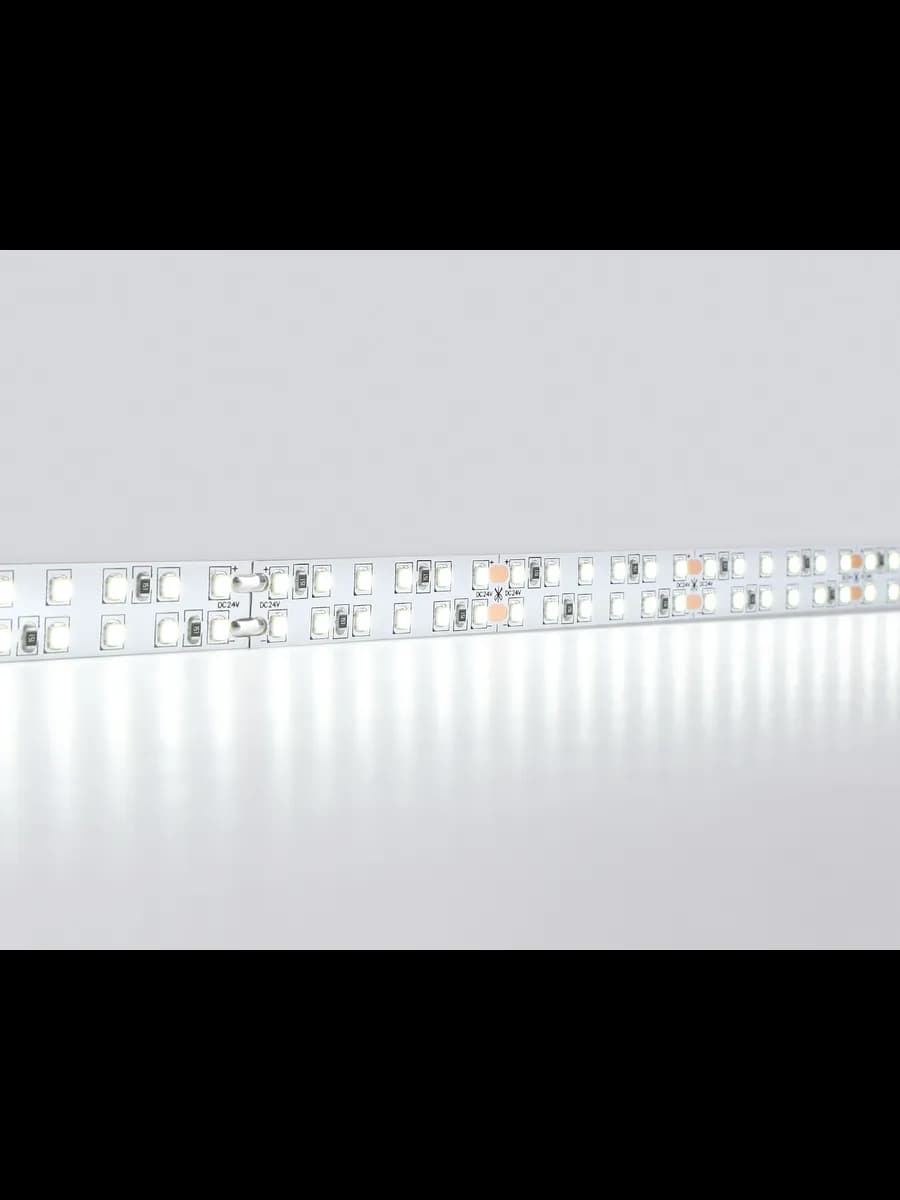 Светодиодная лента двухрядная Ambrella Light GS3703 2835 фото 2