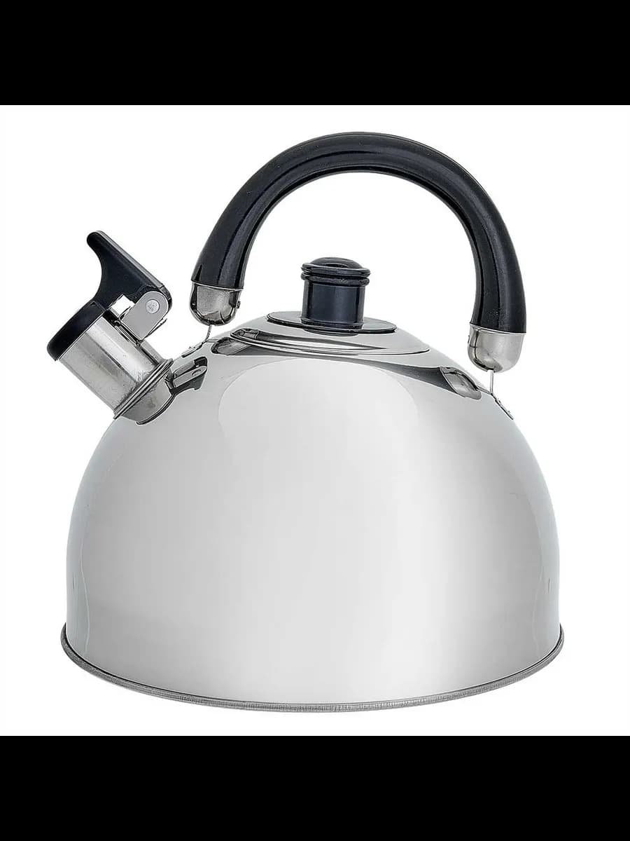 Чайники для плиты WEBBER BE-0528 Чайник из нержавеющая ст... фото 1
