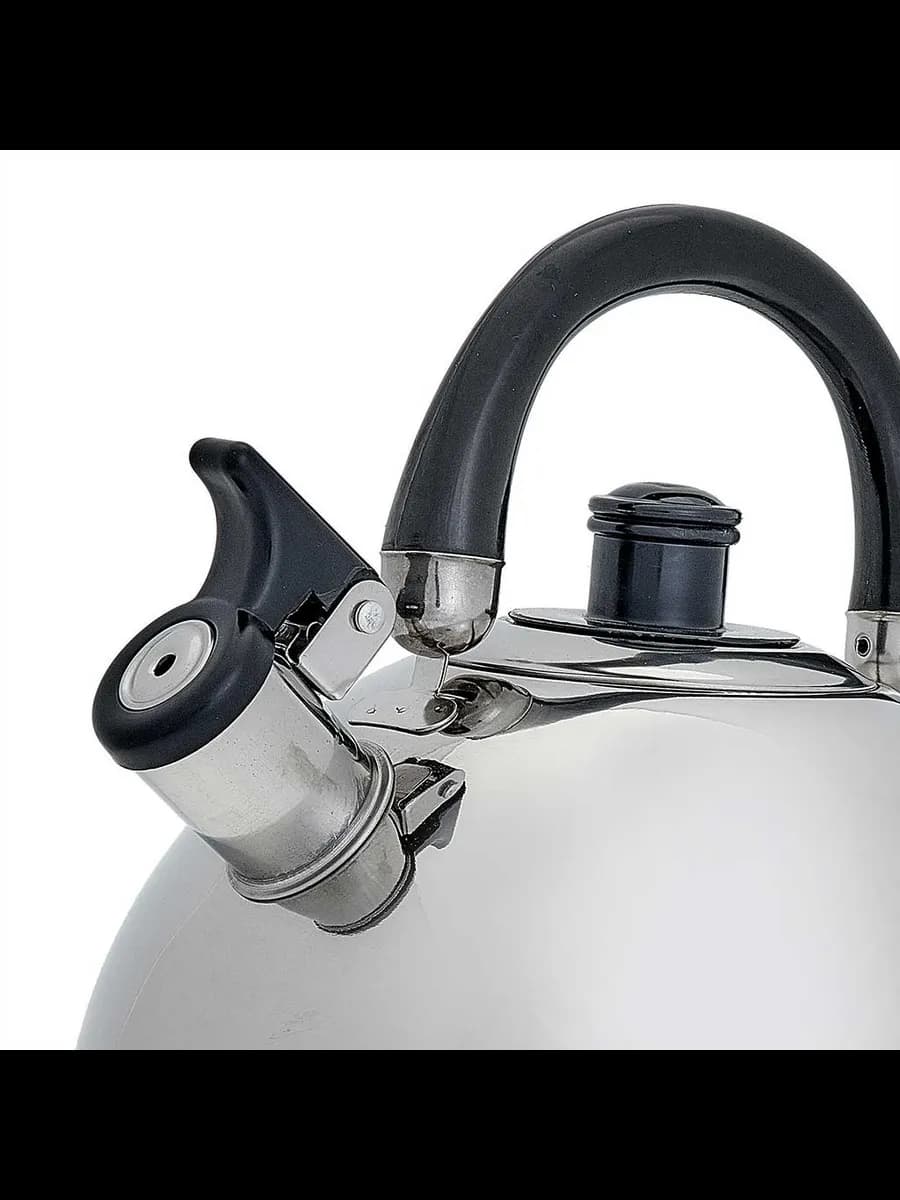 Чайники для плиты WEBBER BE-0528 Чайник из нержавеющая ст... фото 3