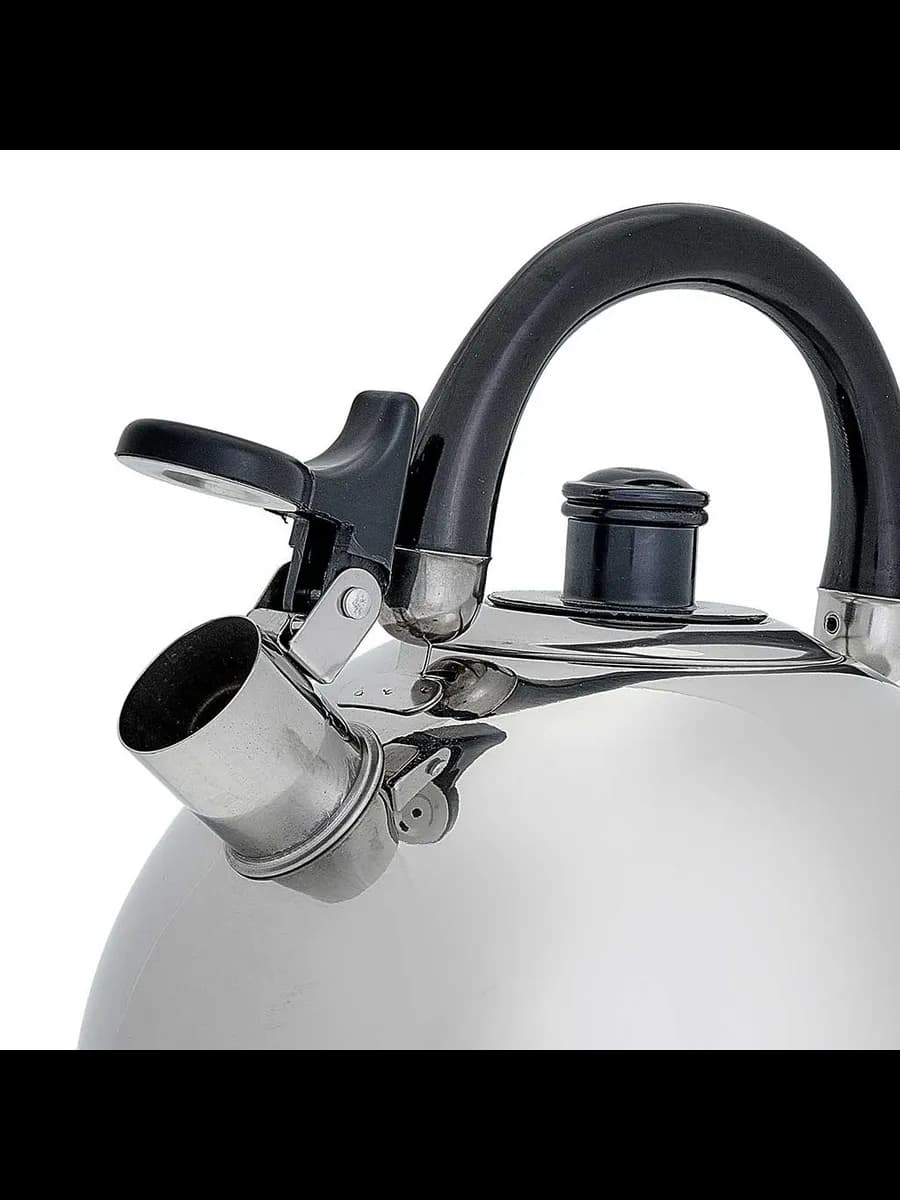 Чайники для плиты WEBBER BE-0528 Чайник из нержавеющая ст... фото 4