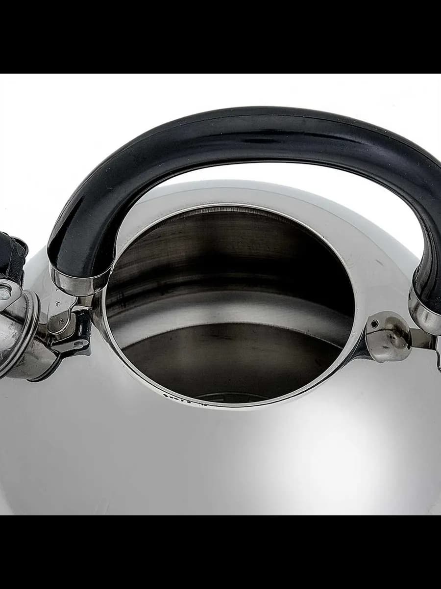Чайники для плиты WEBBER BE-0528 Чайник из нержавеющая ст... фото 5
