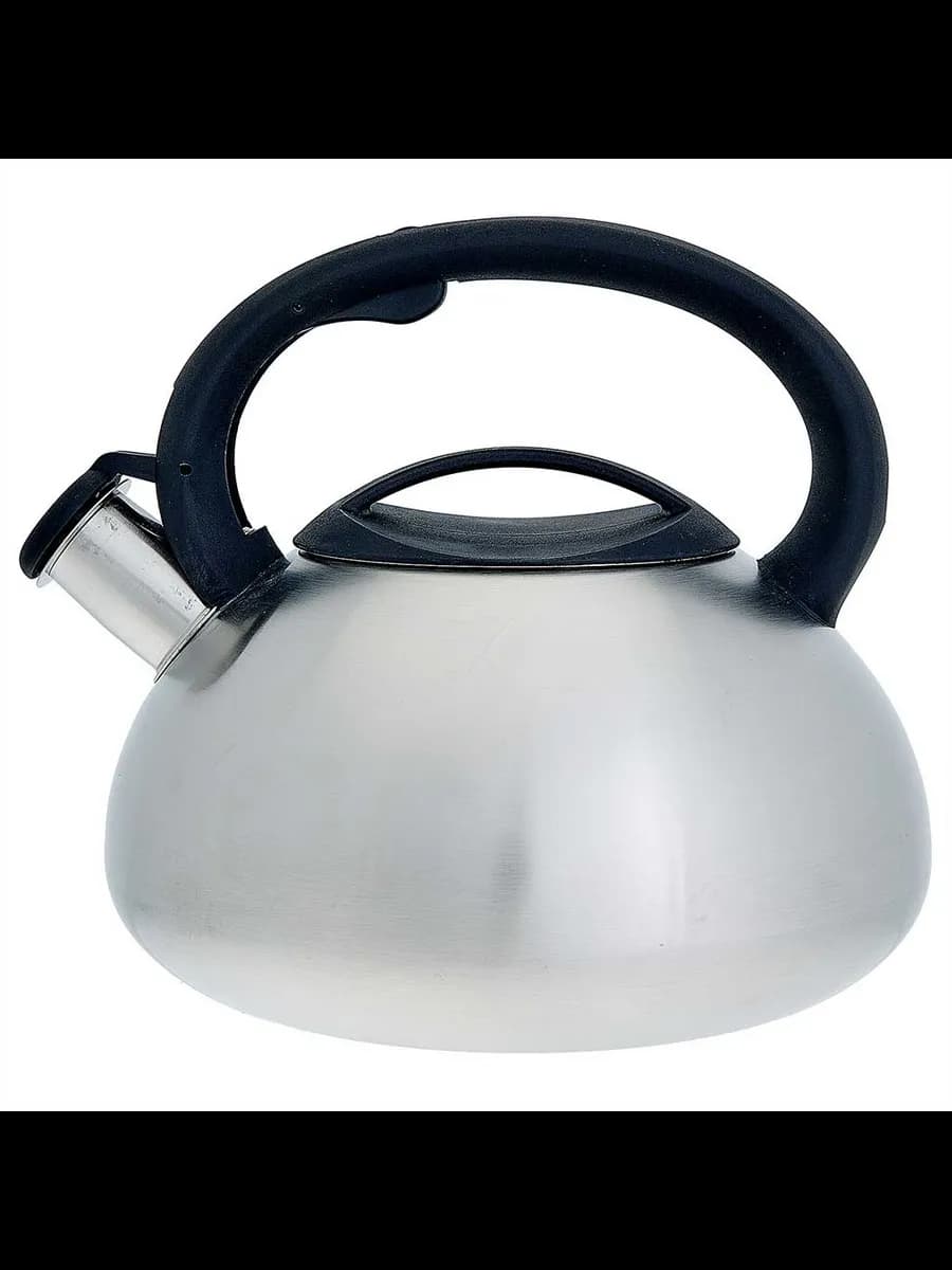Чайники для плиты WEBBER BE-0587 Чайник из нержавеющая ст... фото 1