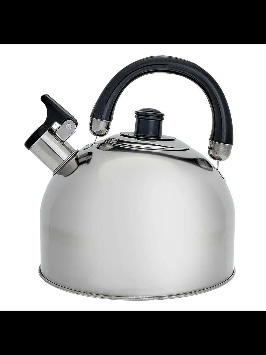 Чайники для плиты WEBBER BE-0527 Чайник из нержавеющая ст... фото 1