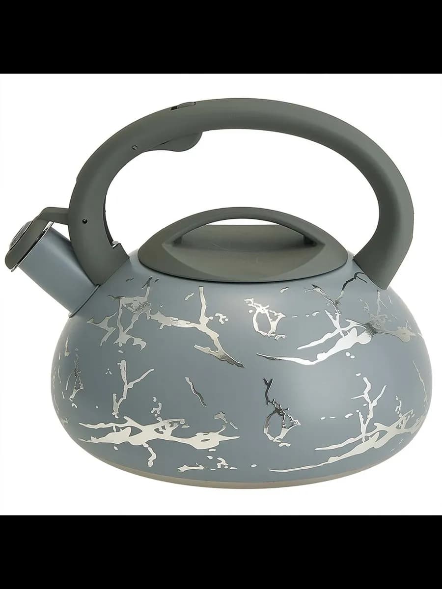 Чайники для плиты ALPENKOK AK-540 Чайник из нержавеющая с... фото 1