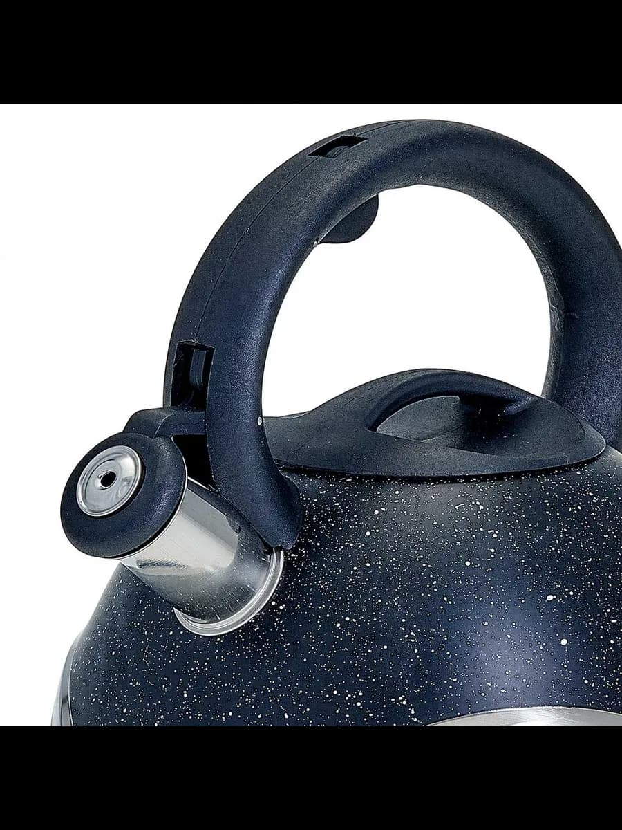 Чайники для плиты WEBBER BE-0574 Чайник из нержавеющая ст... фото 2