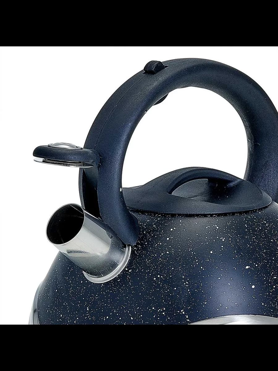 Чайники для плиты WEBBER BE-0574 Чайник из нержавеющая ст... фото 3