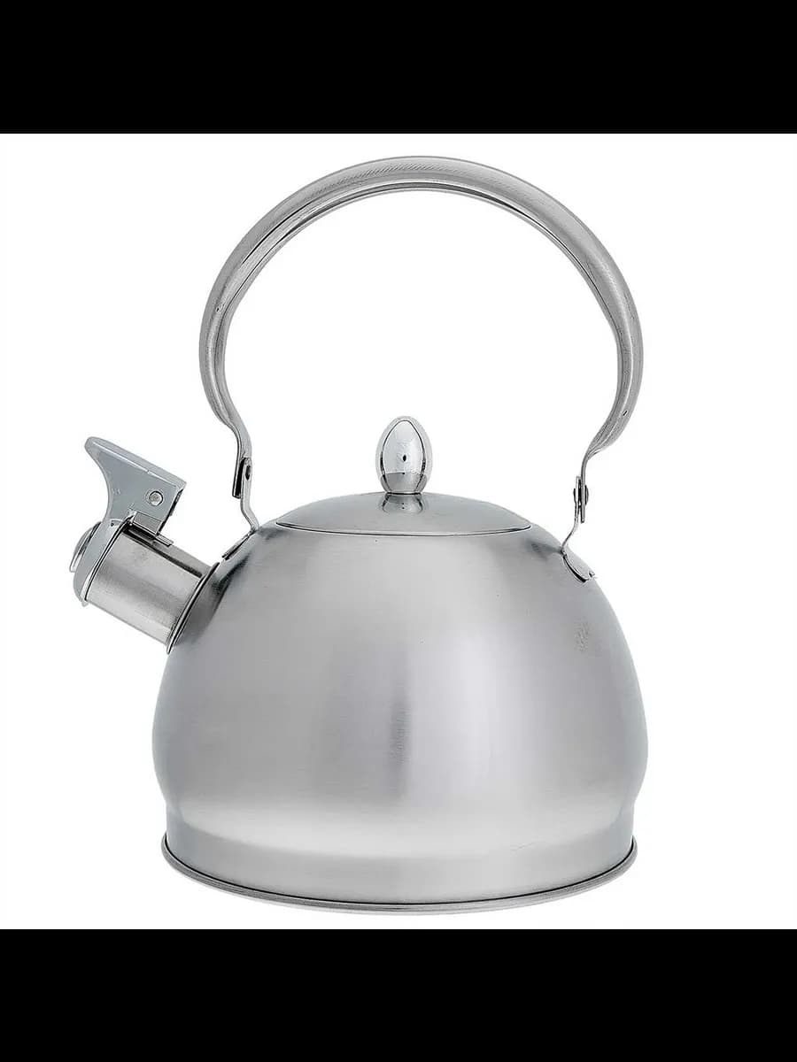 Чайники для плиты WEBBER BE-0560 Чайник из нержавеющая ст... фото 1