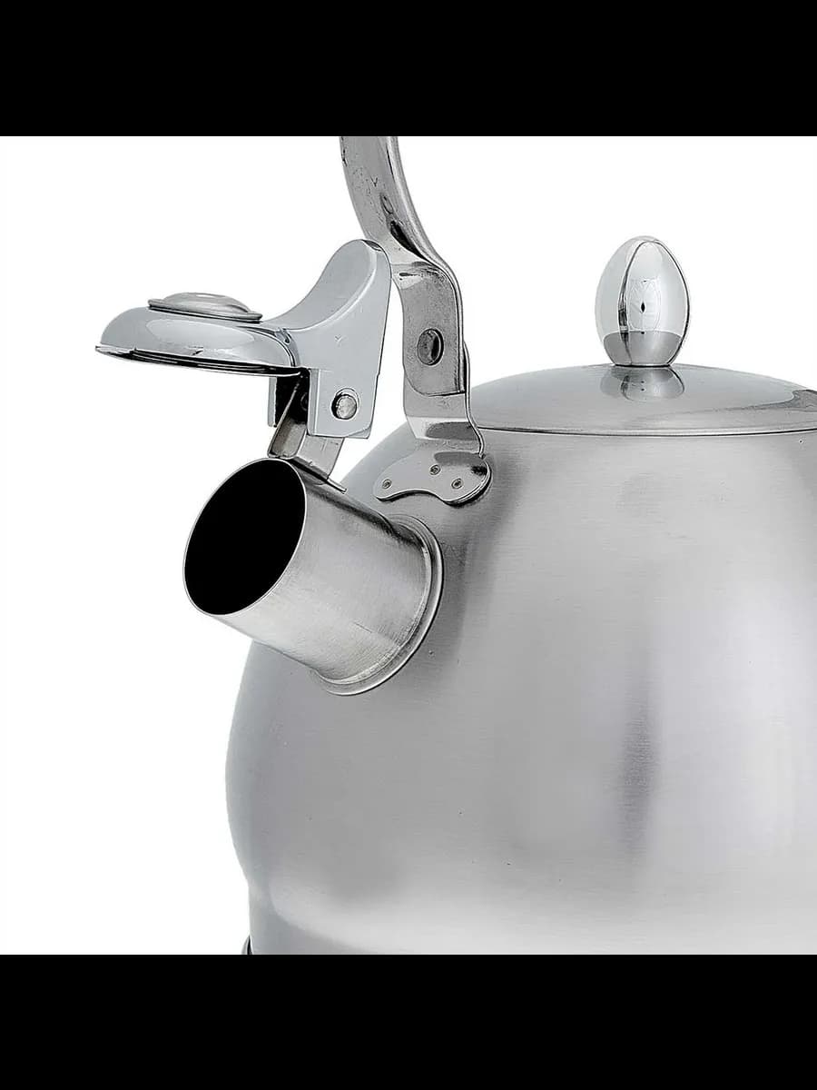 Чайники для плиты WEBBER BE-0560 Чайник из нержавеющая ст... фото 3