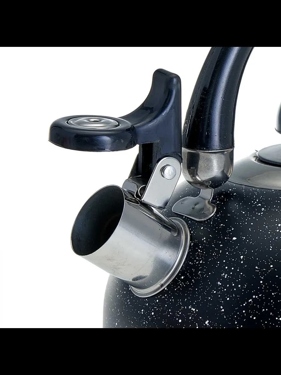 Чайники для плиты WEBBER BE-0539 Чайник из нержавеющая ст... фото 5