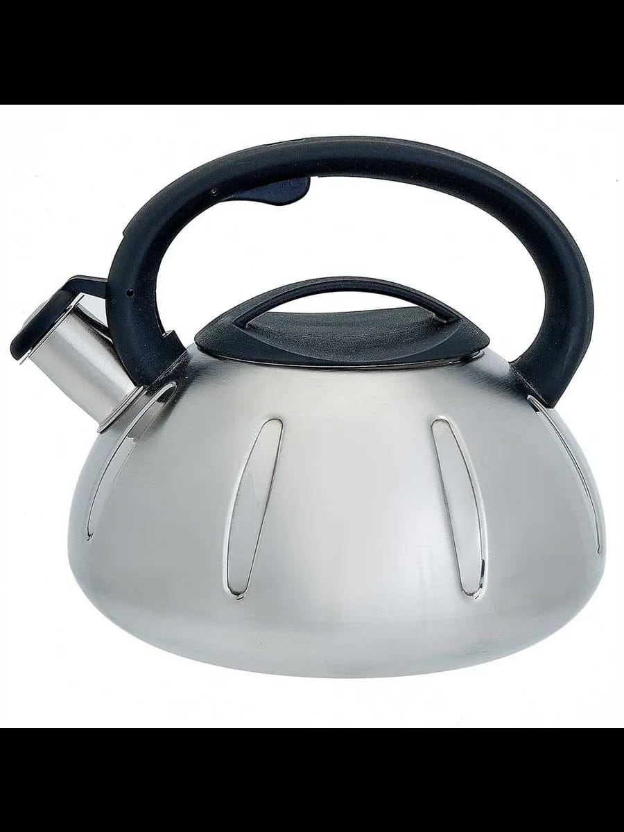 Чайники для плиты WEBBER BE-0569/1 Чайник из нержавеющая...