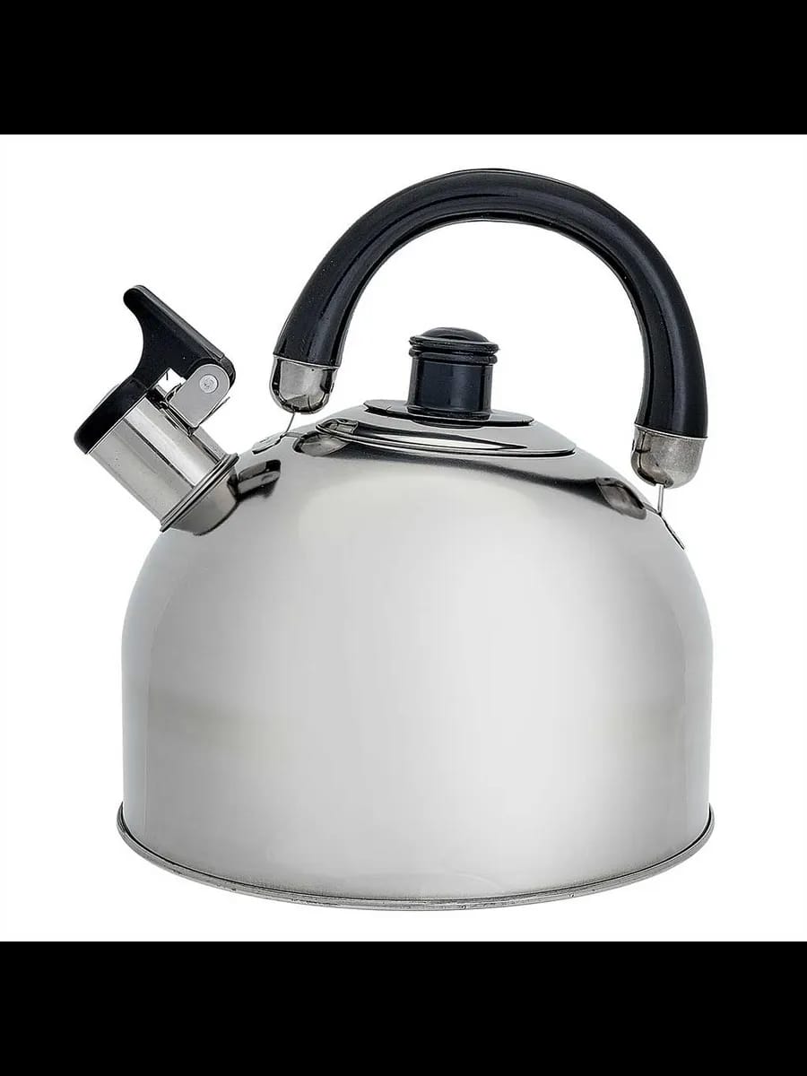 Чайники для плиты WEBBER BE-0527 Чайник из нержавеющая ст...