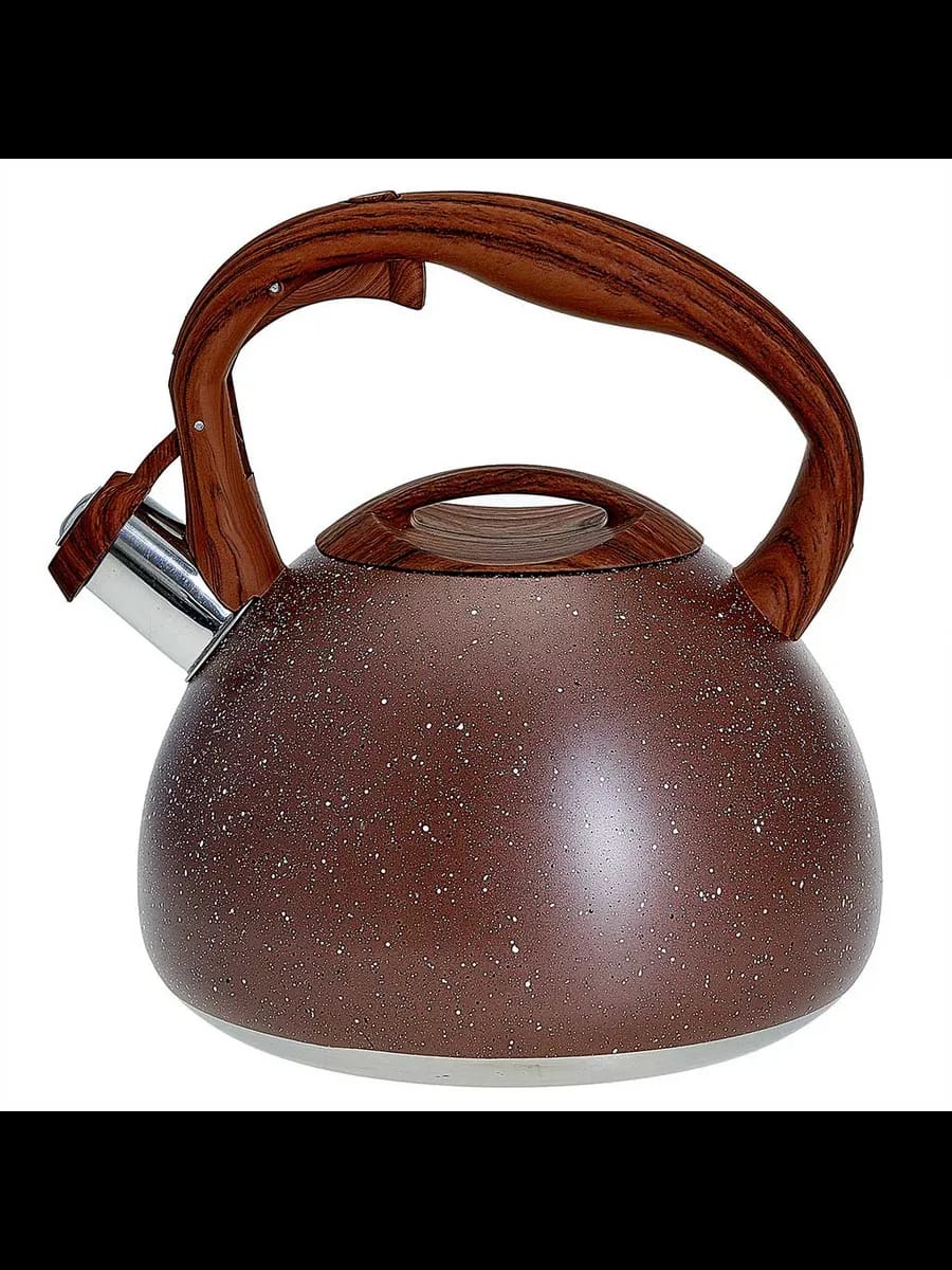 Чайники для плиты ALPENKOK AK-520 Чайник из нержавеющая с...