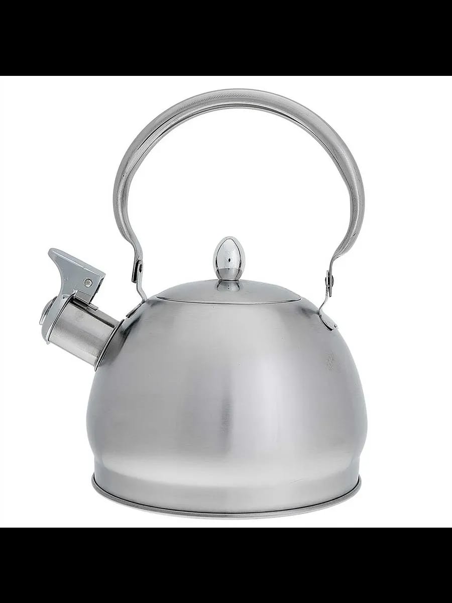 Чайники для плиты WEBBER BE-0560 Чайник из нержавеющая ст...